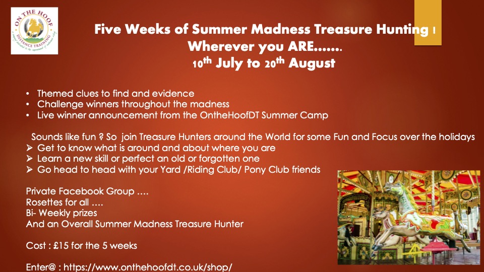 Virtual Summer Treasure Hunting 2022
