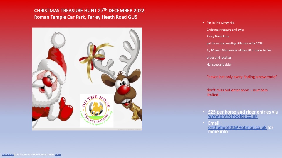Christmas Treasure Hunt 2022