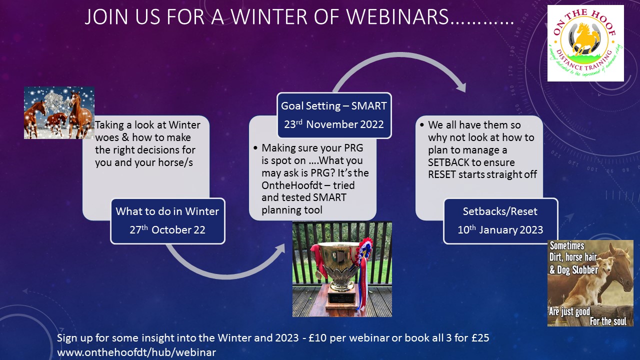 Winter Webinar Series