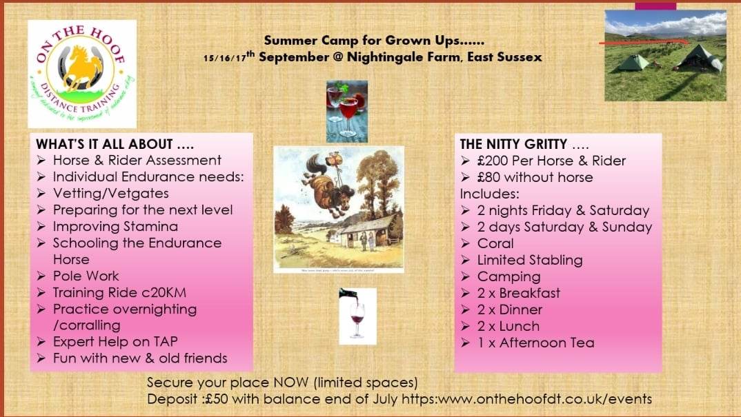 Summer Camp...for Grown Ups