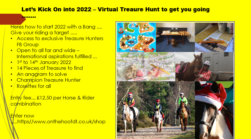 Virtual Treasure Hunt - January 2022