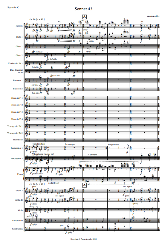 Sonnet 43 - Symphony Orchestra