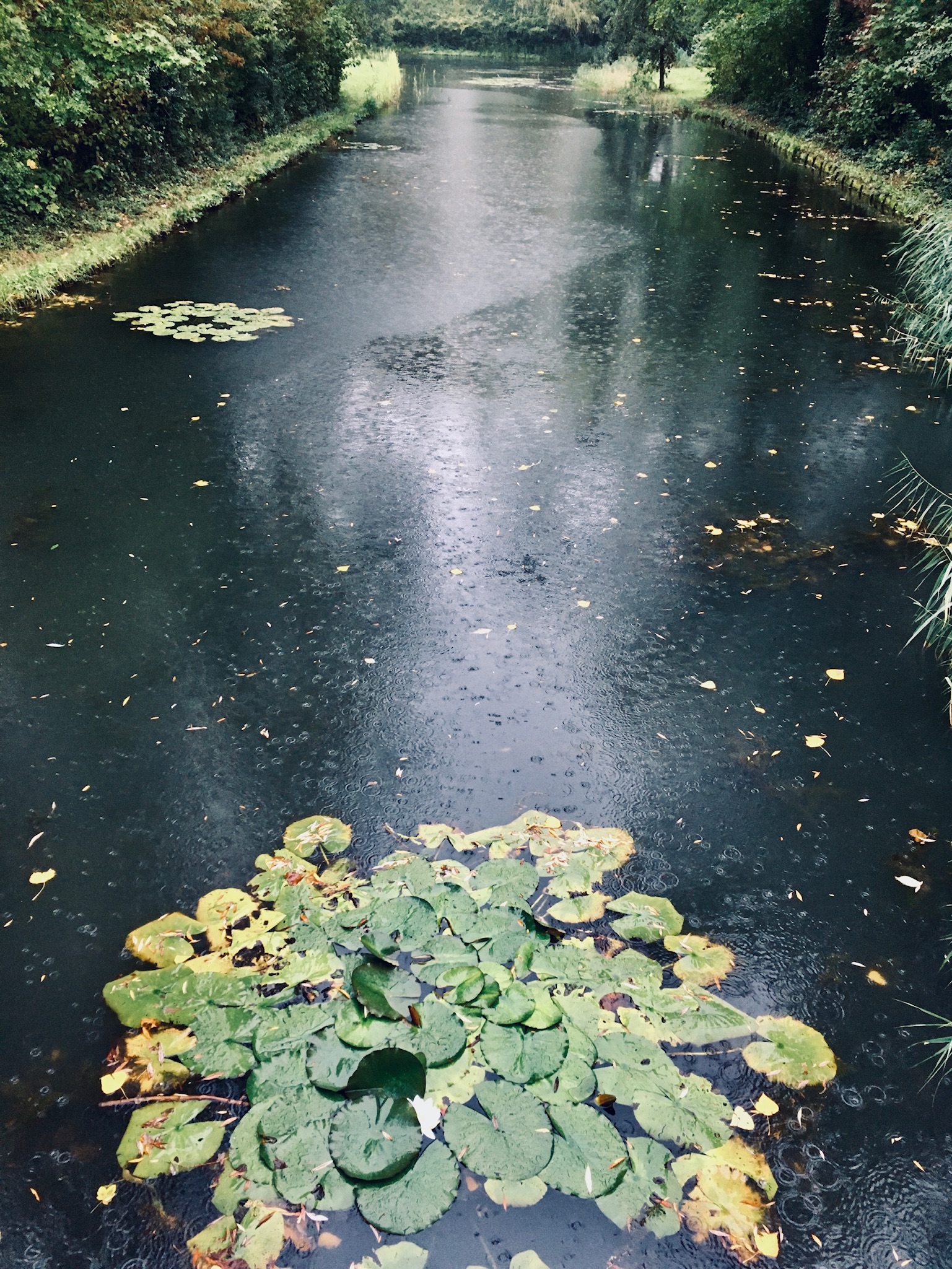 Immerloo Park Arnhem Vijver in de regen