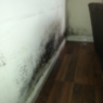 Mould Growth due to Condensation