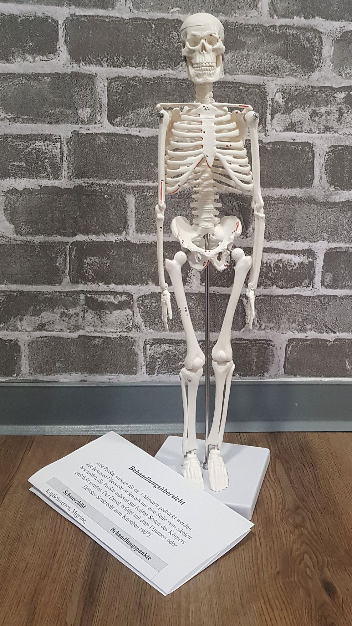 Skelett mit Osteopunkten