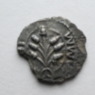 Amminus plant Celtic Silver Unit