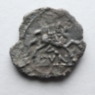 Amminus plant Celtic Silver Unit Reverse