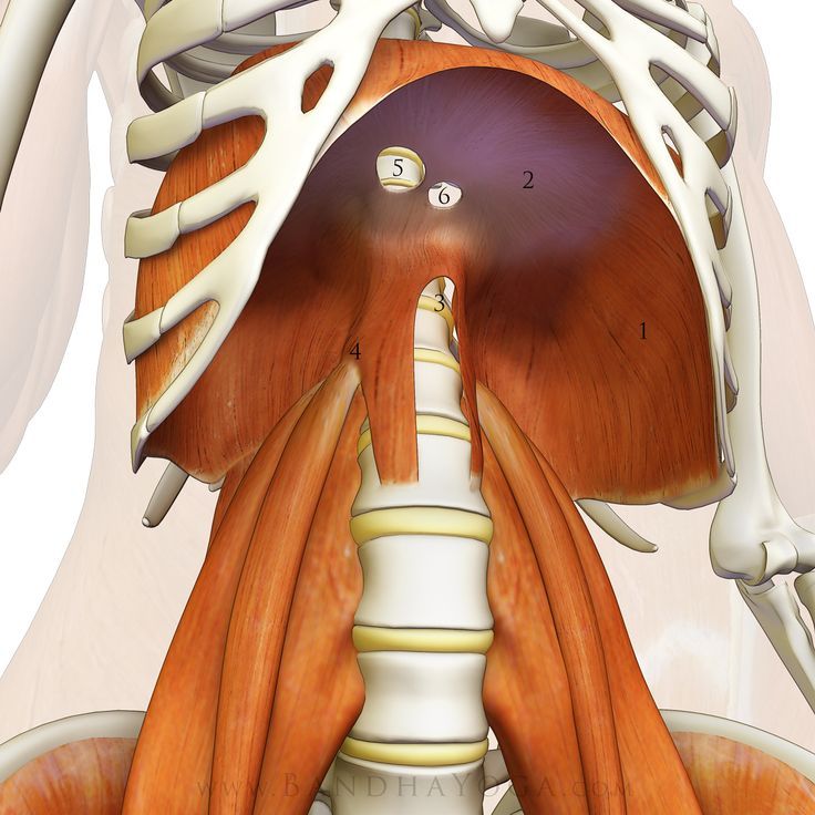 Diaphragm position