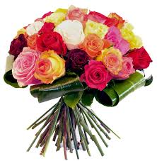 Bouquet de roses Equateur varié